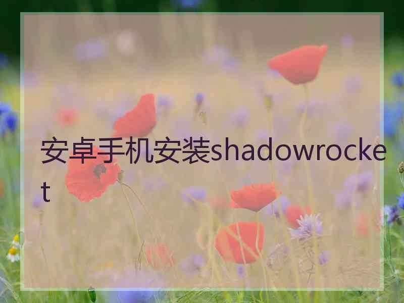 安卓手机安装shadowrocket