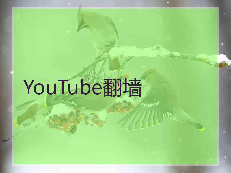 YouTube翻墙