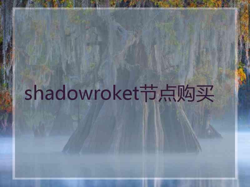 shadowroket节点购买