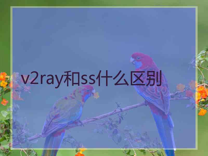 v2ray和ss什么区别