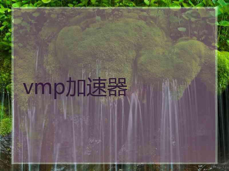 vmp加速器