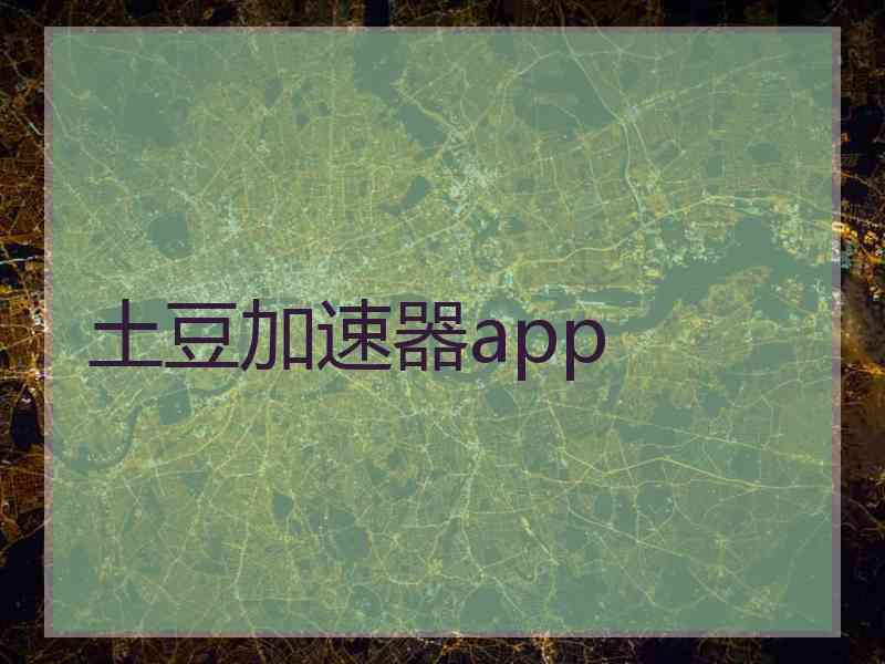 土豆加速器app