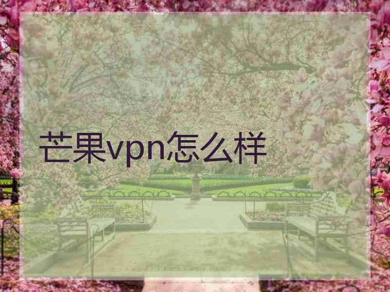 芒果vpn怎么样