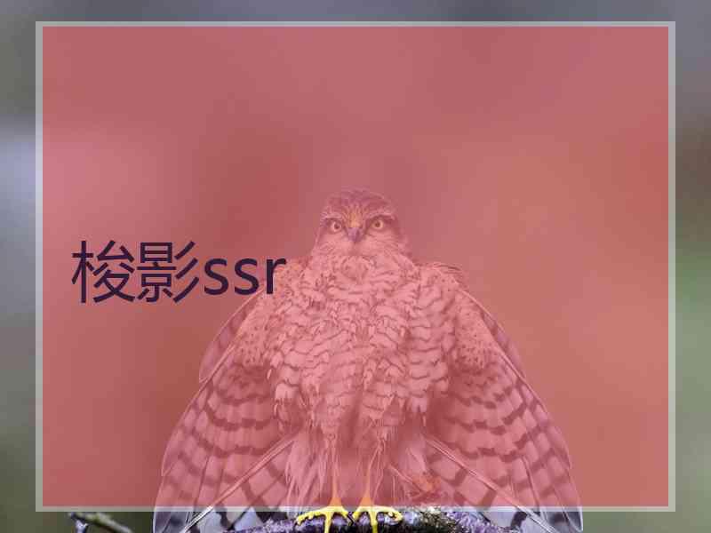 梭影ssr