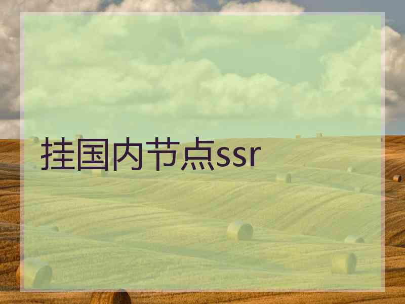 挂国内节点ssr