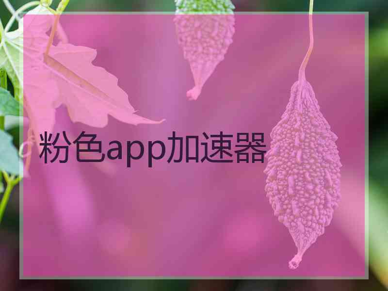 粉色app加速器