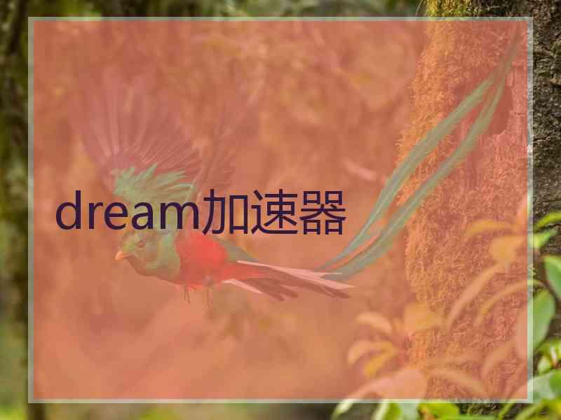 dream加速器