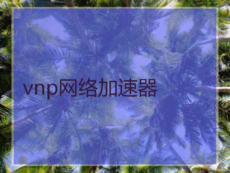 vnp网络加速器