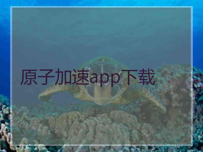 原子加速app下载