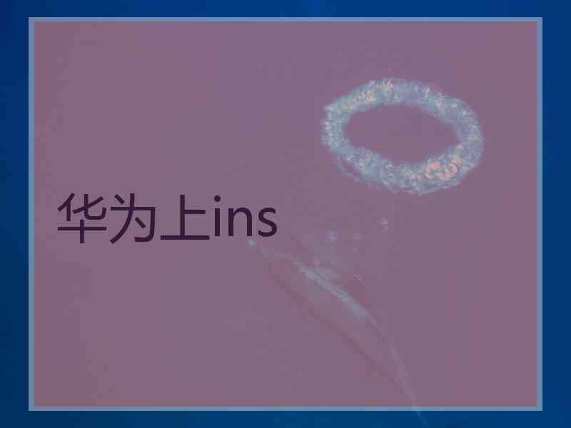 华为上ins