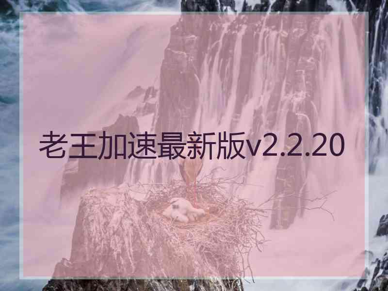 老王加速最新版v2.2.20