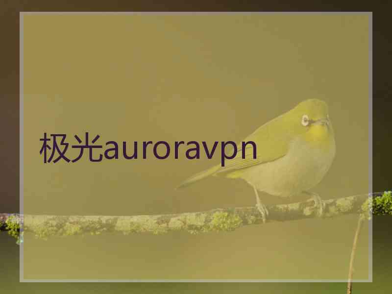 极光auroravpn