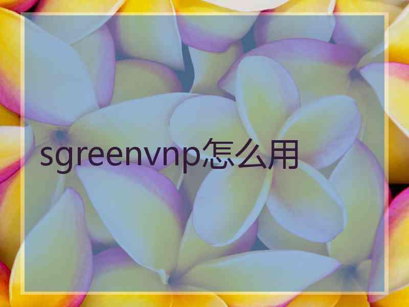 sgreenvnp怎么用