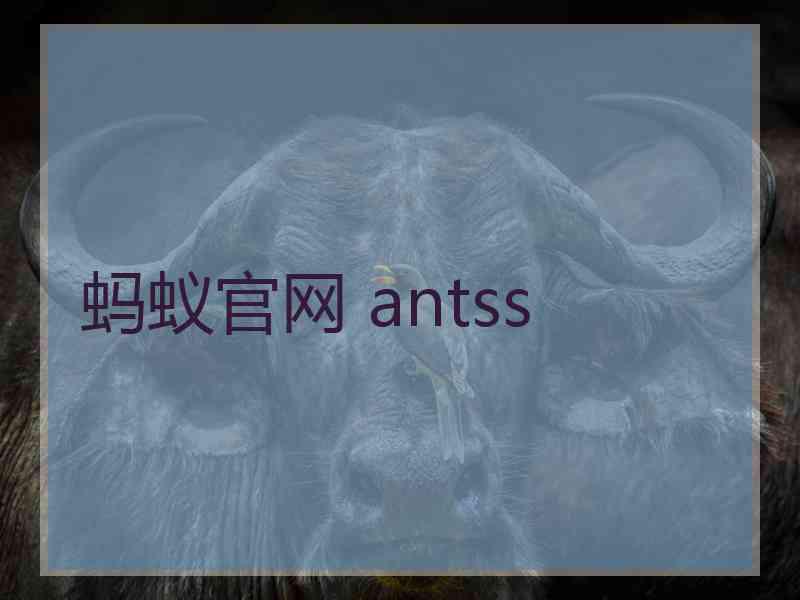 蚂蚁官网 antss