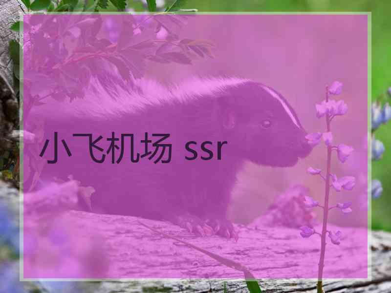 小飞机场 ssr