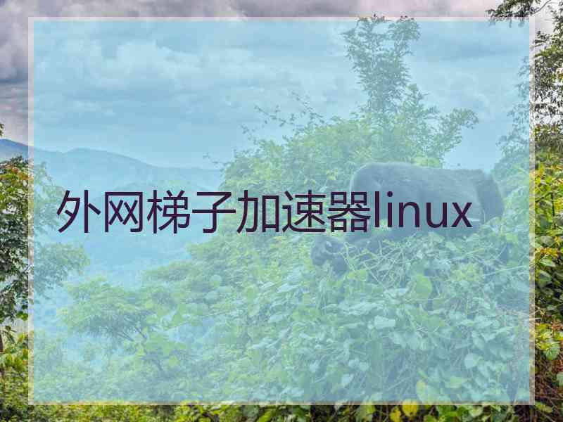 外网梯子加速器linux