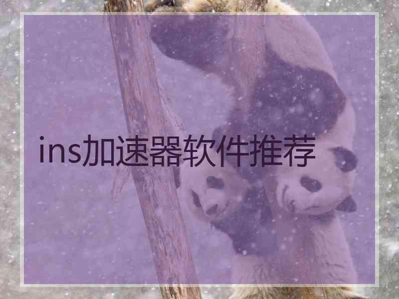 ins加速器软件推荐