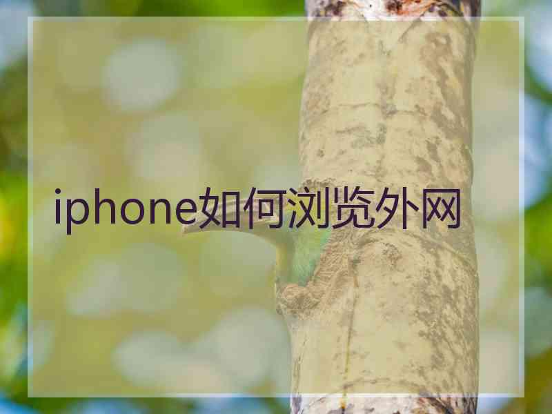 iphone如何浏览外网