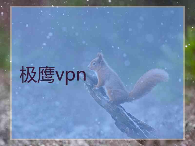 极鹰vpn