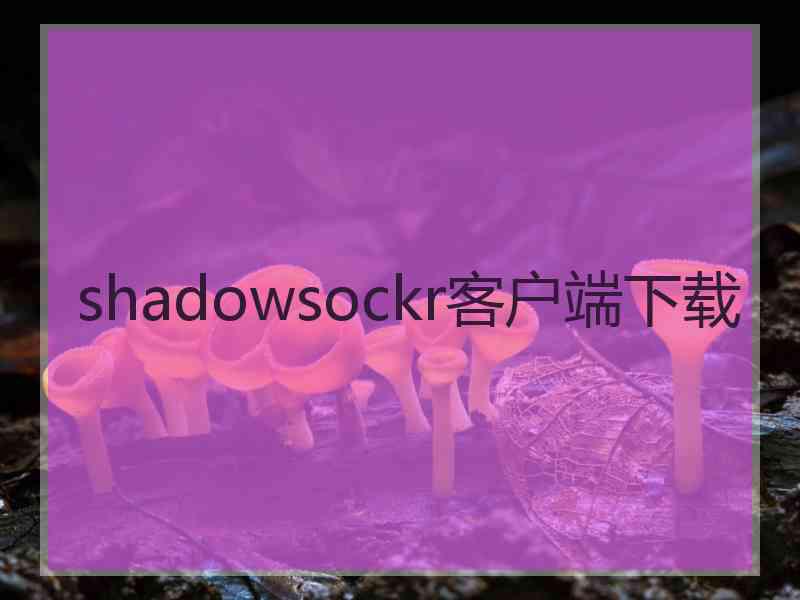 shadowsockr客户端下载