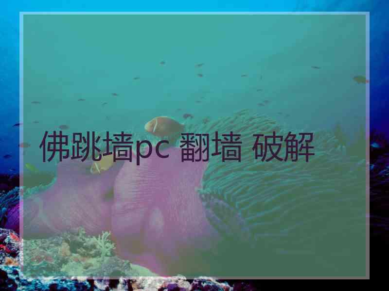 佛跳墙pc 翻墙 破解