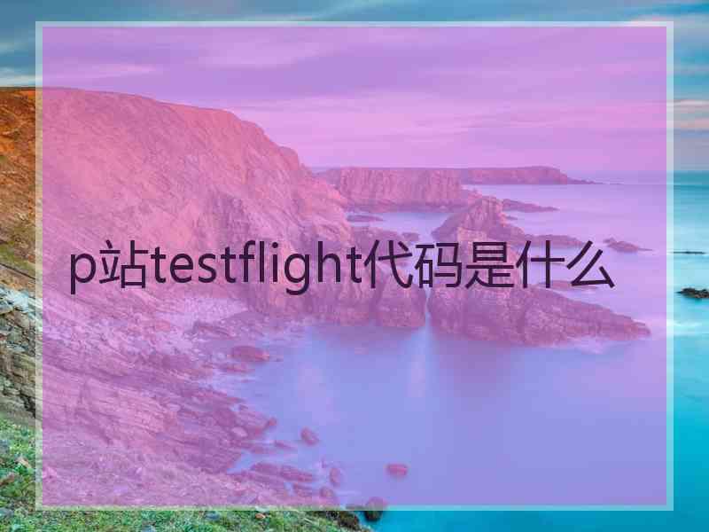 p站testflight代码是什么