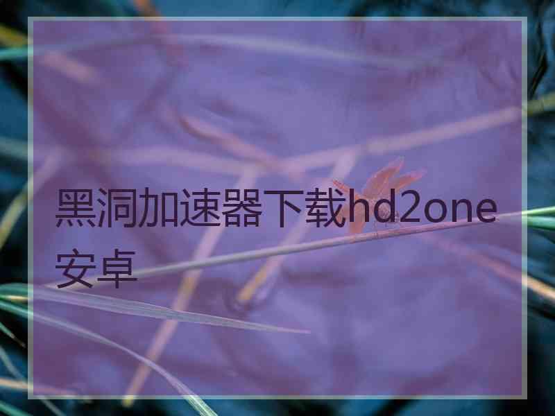 黑洞加速器下载hd2one安卓