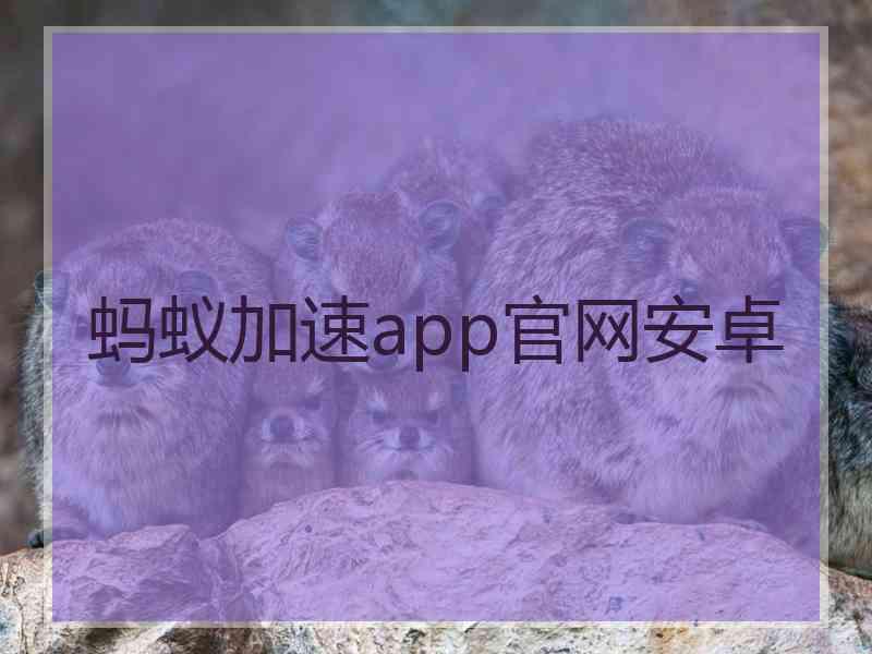 蚂蚁加速app官网安卓