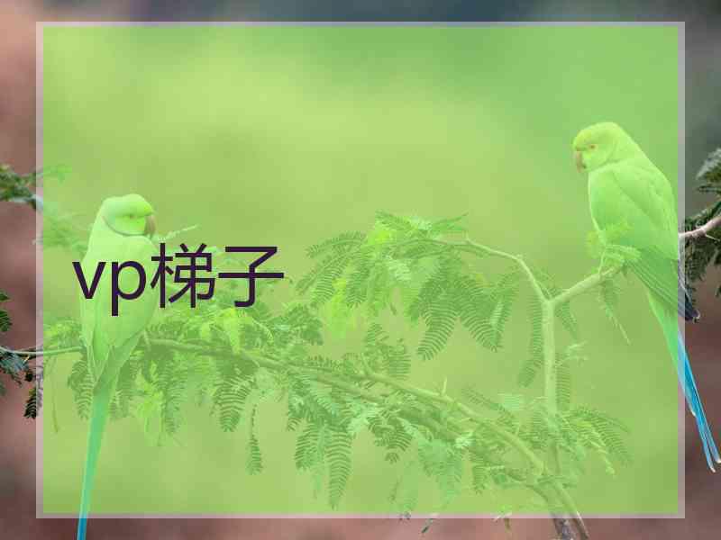 vp梯子