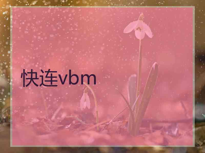 快连vbm