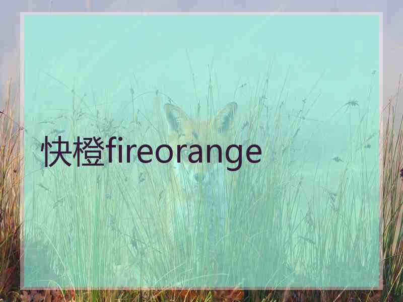 快橙fireorange