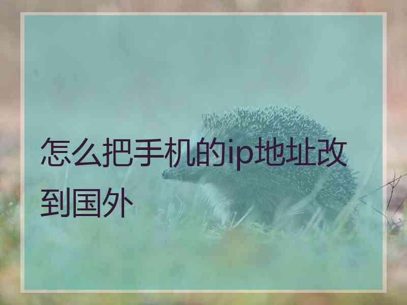 怎么把手机的ip地址改到国外