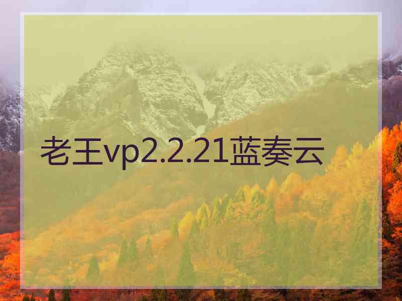 老王vp2.2.21蓝奏云