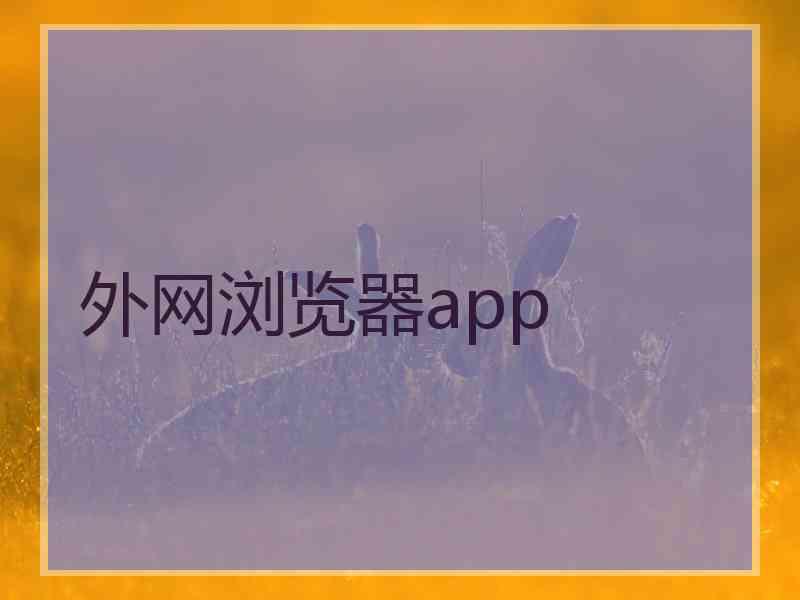 外网浏览器app