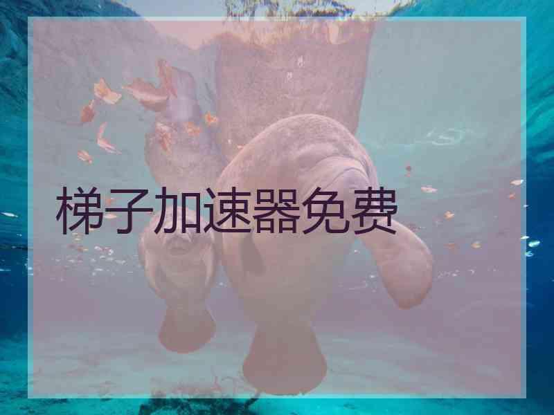 梯子加速器免费