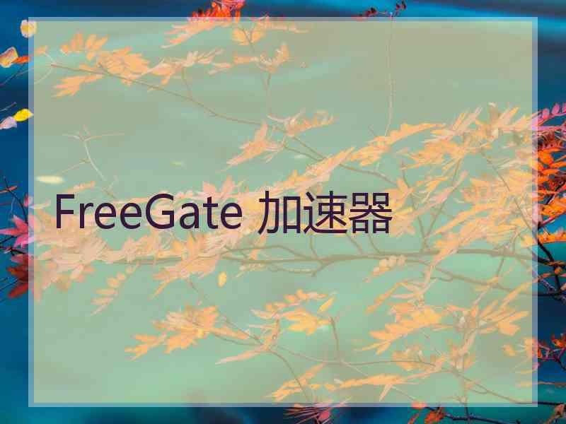 FreeGate 加速器