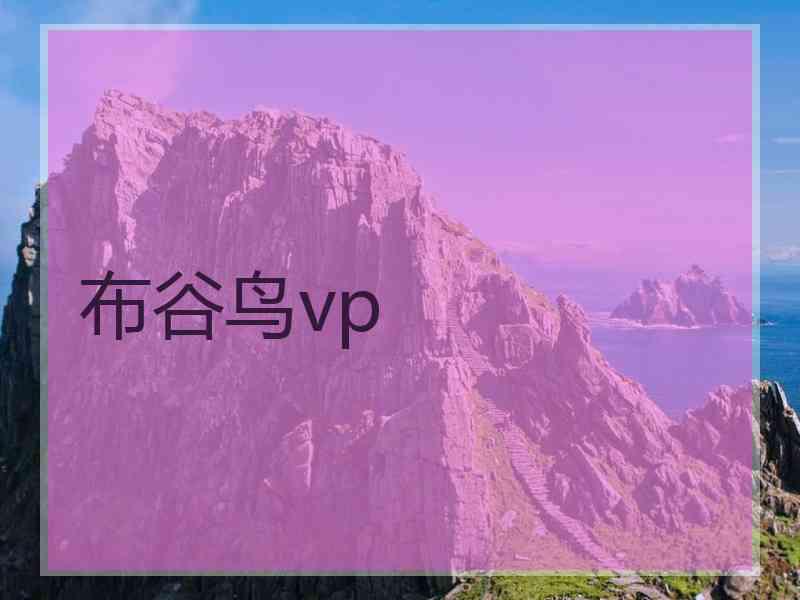 布谷鸟vp