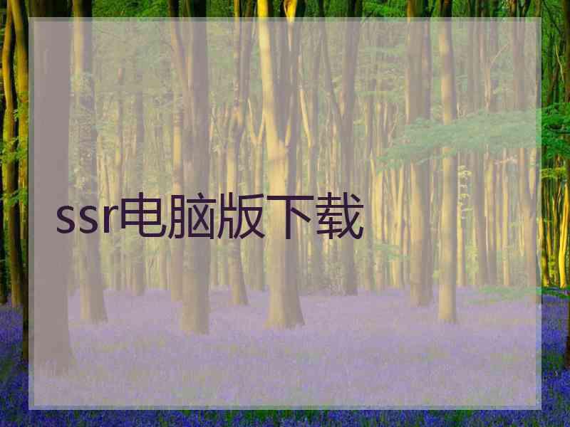 ssr电脑版下载