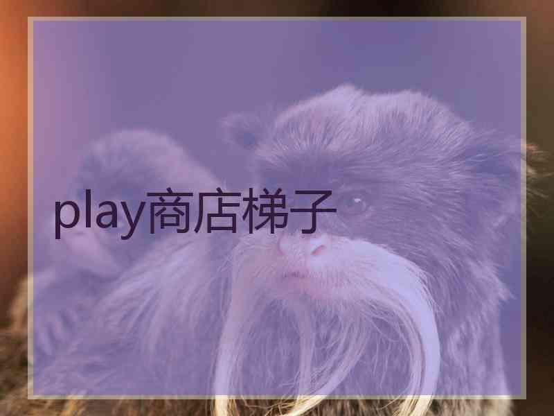 play商店梯子