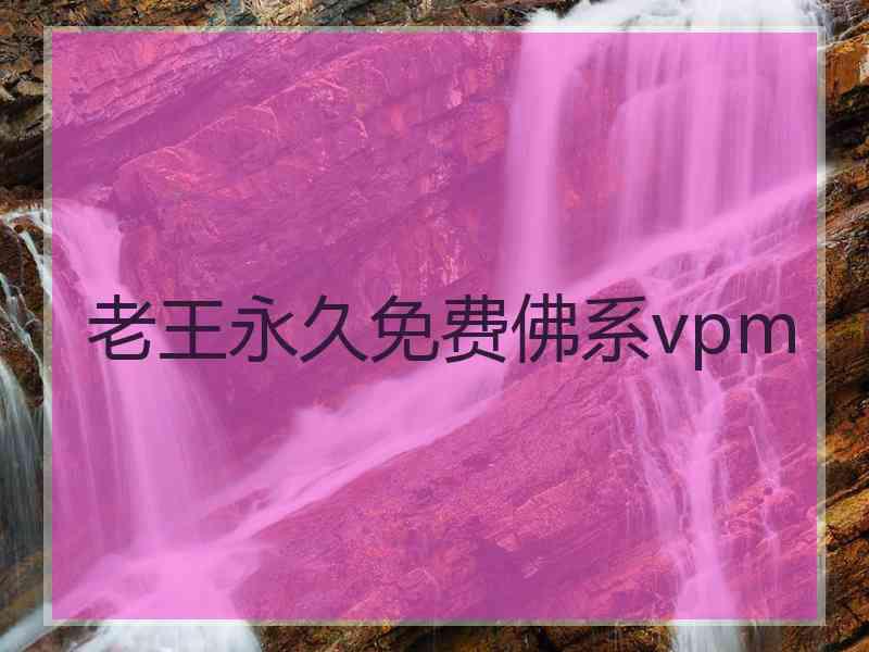 老王永久免费佛系vpm