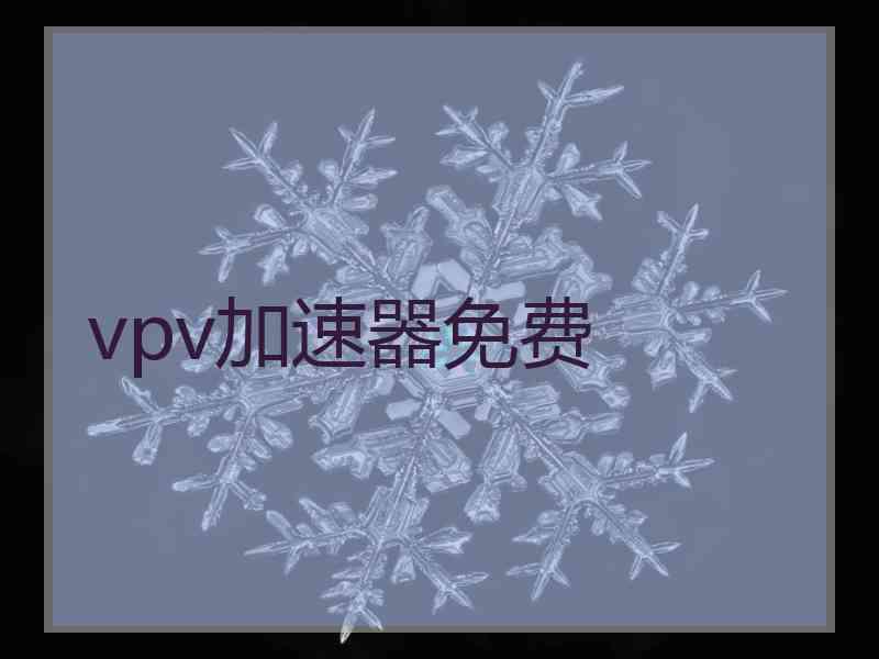 vpv加速器免费