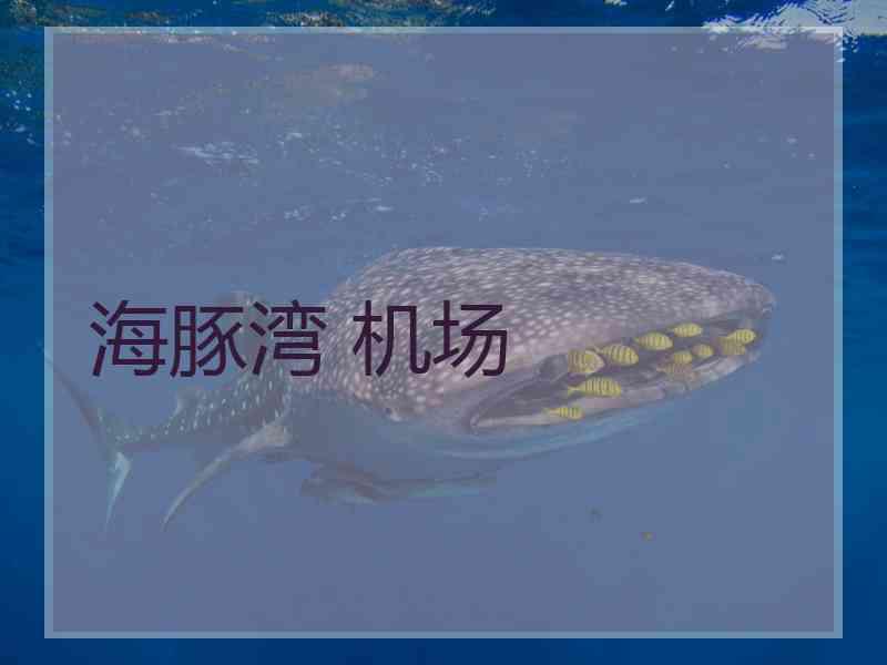 海豚湾 机场