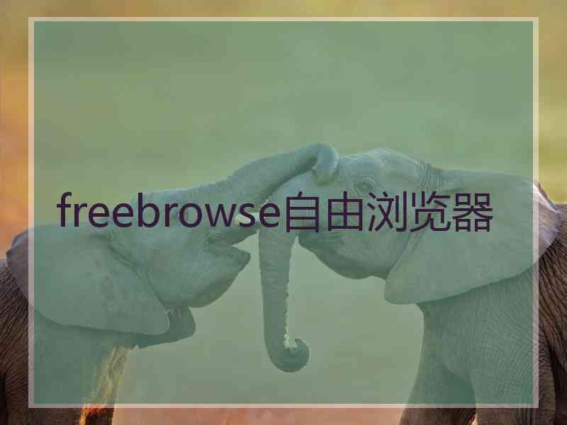 freebrowse自由浏览器