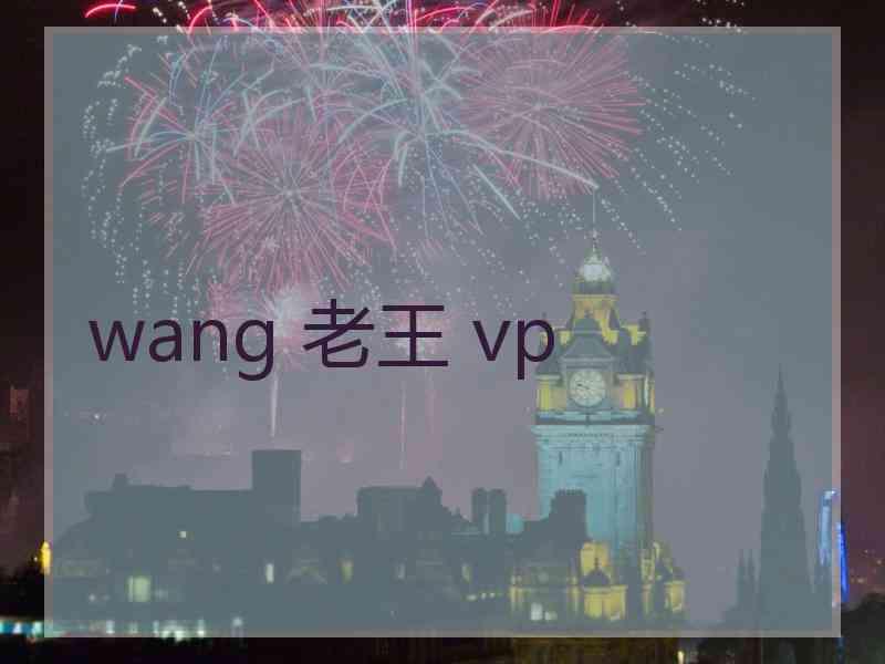 wang 老王 vp