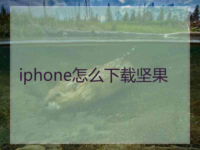 iphone怎么下载坚果