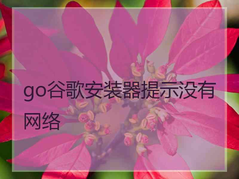 go谷歌安装器提示没有网络