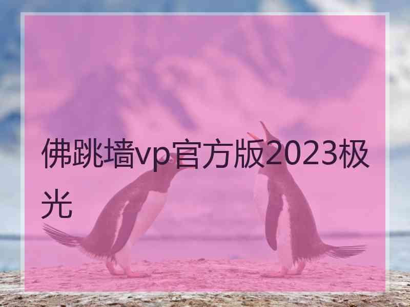 佛跳墙vp官方版2023极光