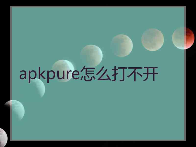 apkpure怎么打不开