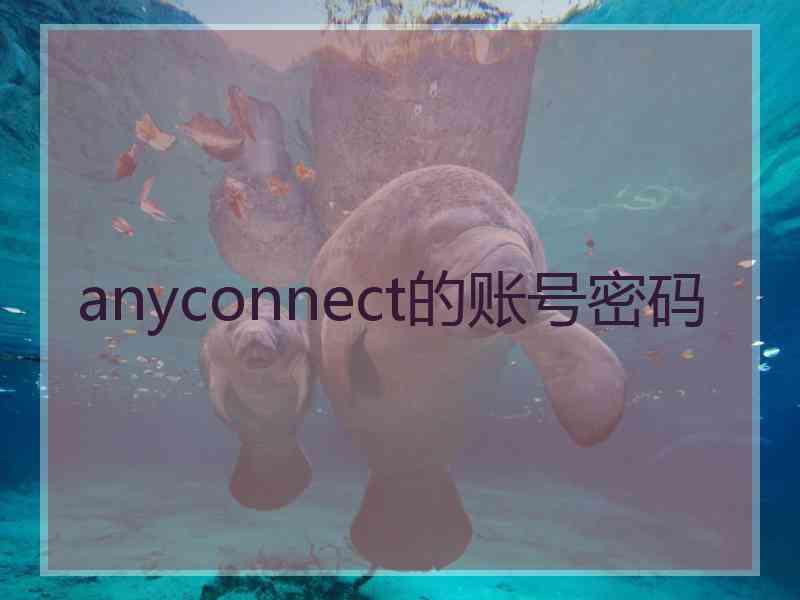 anyconnect的账号密码