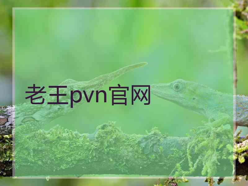 老王pvn官网